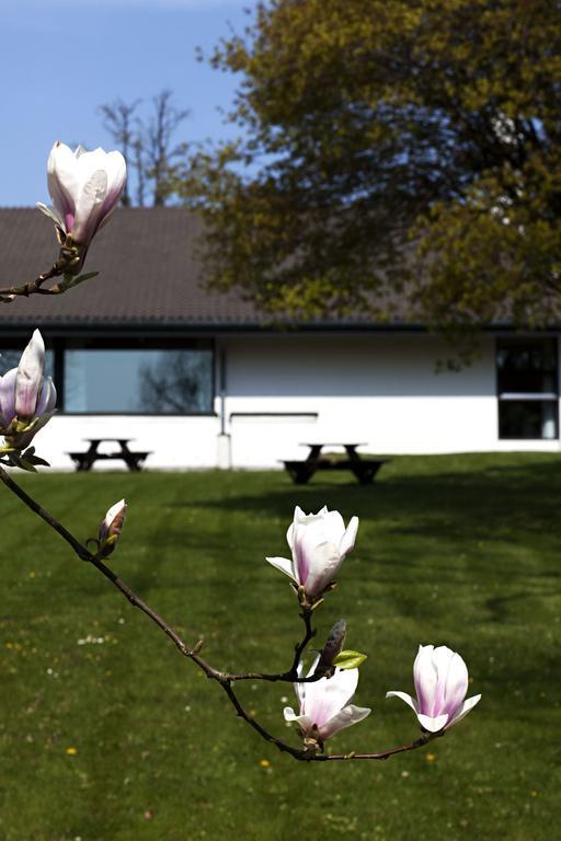 Vilvorde Kursuscenter Hotel Charlottenlund Luaran gambar